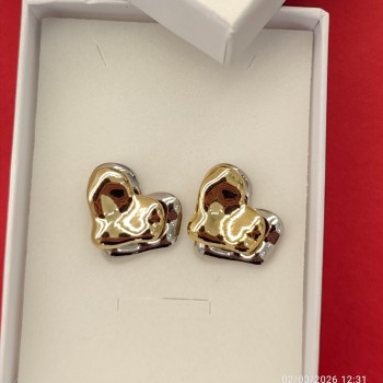 Double Heart Earrings 021
