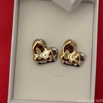 Double Heart Earrings 021